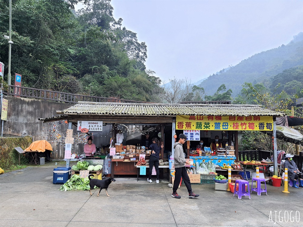 梅山景點 圓潭自然生態園區 嘉義梅山好走森林步道 開放時間、停車場
