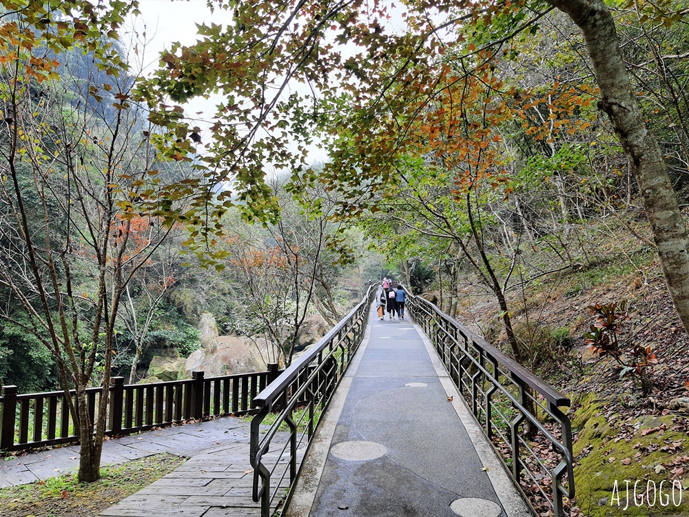 梅山景點 圓潭自然生態園區 嘉義梅山好走森林步道 開放時間、停車場