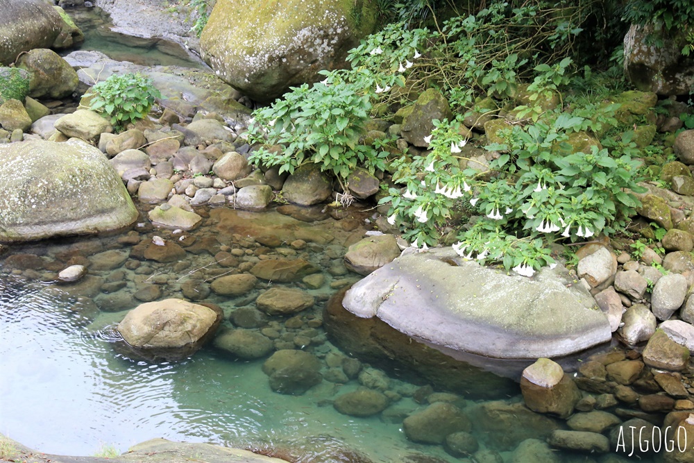 梅山景點 圓潭自然生態園區 嘉義梅山好走森林步道 開放時間、停車場 梅山景點 圓潭自然生態園區 嘉義梅山好走森林步道 開放時間、停車場