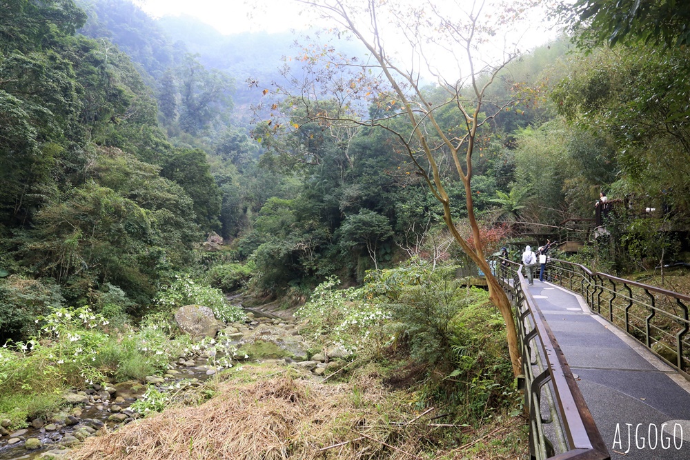 梅山景點 圓潭自然生態園區 嘉義梅山好走森林步道 開放時間、停車場