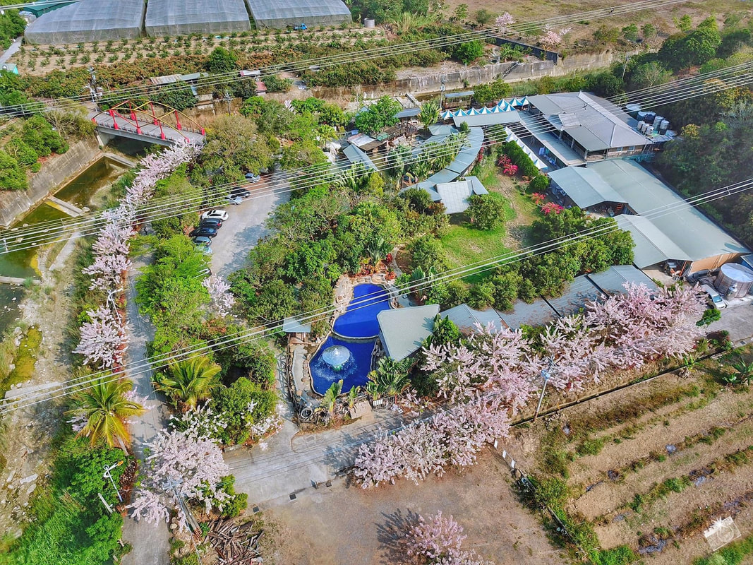 台南景點 龜丹水哥溫泉區 龜丹休閒體驗農園 泡湯規矩多 半露天森林獨立湯屋