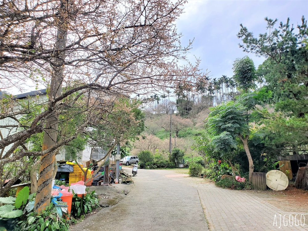 南投景點 7號梅莊 南投國姓鄉賞梅花景點 每年12月底~1月開花