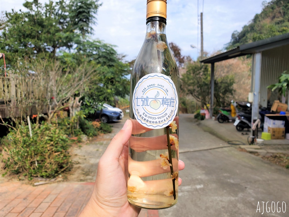 南投景點 7號梅莊 南投國姓鄉賞梅花景點 每年12月底~1月開花