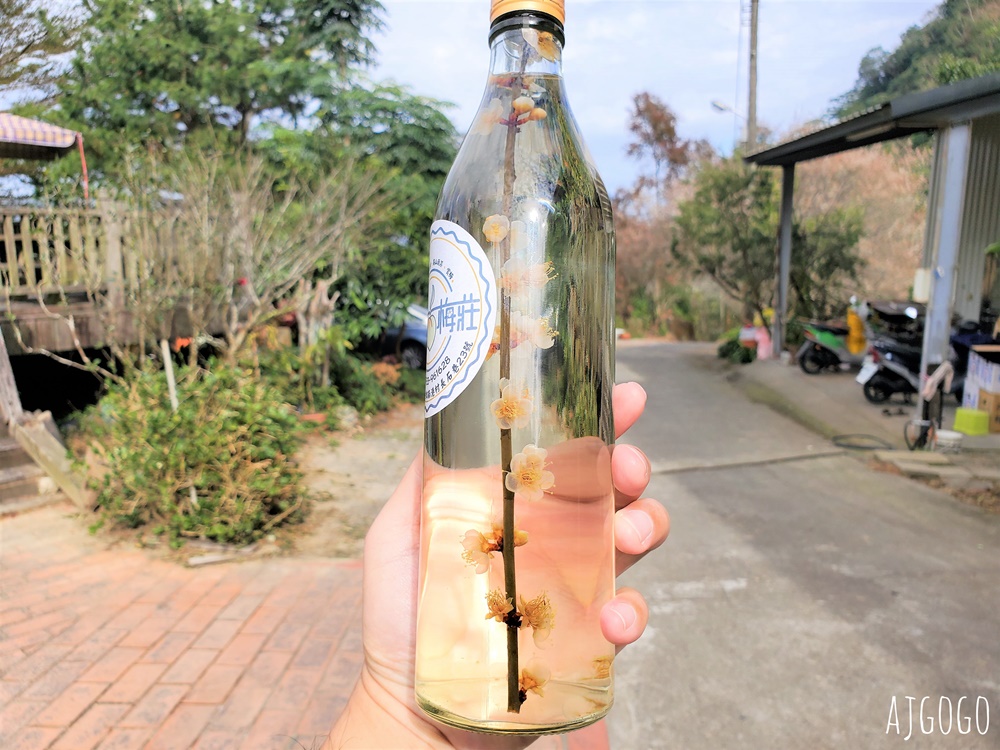 南投景點 7號梅莊 南投國姓鄉賞梅花景點 每年12月底~1月開花
