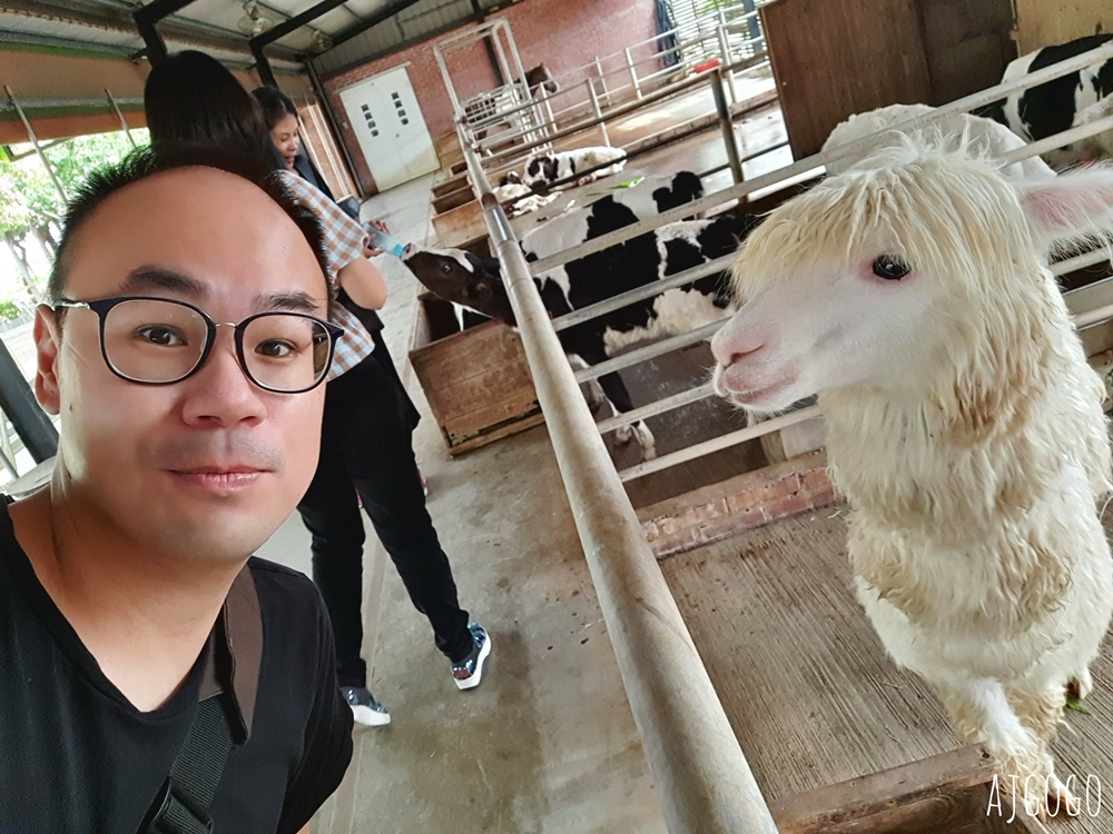台南景點 八老爺車站-乳牛的家 台灣最大的鮮乳生產地 有鮮奶火鍋、糖廠五分車、各種童玩 台南景點 八老爺車站-乳牛的家 台灣最大的鮮乳生產地 有鮮奶火鍋、糖廠五分車、各種童玩