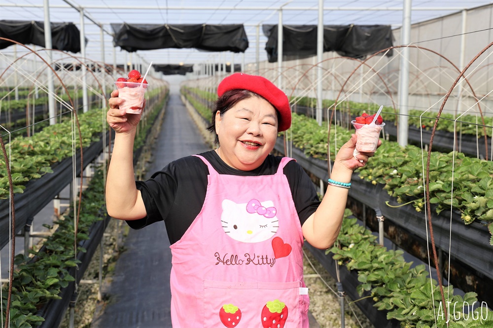 台南七股草莓園 台南也可以採無毒草莓 每年12月中~1月結果