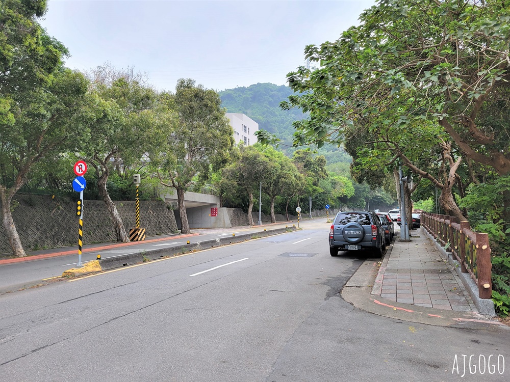 2026台北落羽松 原住民文化主題公園 故宮旁的池畔落羽松林