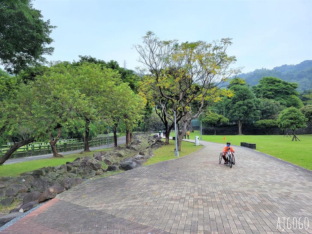 2026台北落羽松 原住民文化主題公園 故宮旁的池畔落羽松林