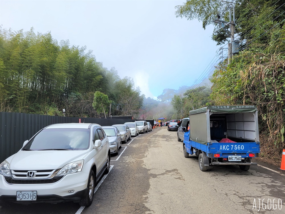 2026高雄景點 高雄櫻花 寶山二集團櫻花公園 交通、停車場、接駁車資訊 5千多棵櫻花樹一路看到2月中 2026高雄景點 高雄櫻花 寶山二集團櫻花公園 交通、停車場、接駁車資訊 5千多棵櫻花樹一路看到2月中