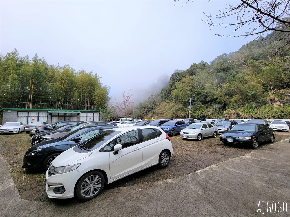 2026高雄景點 高雄櫻花 寶山二集團櫻花公園 交通、停車場、接駁車資訊 5千多棵櫻花樹一路看到2月中