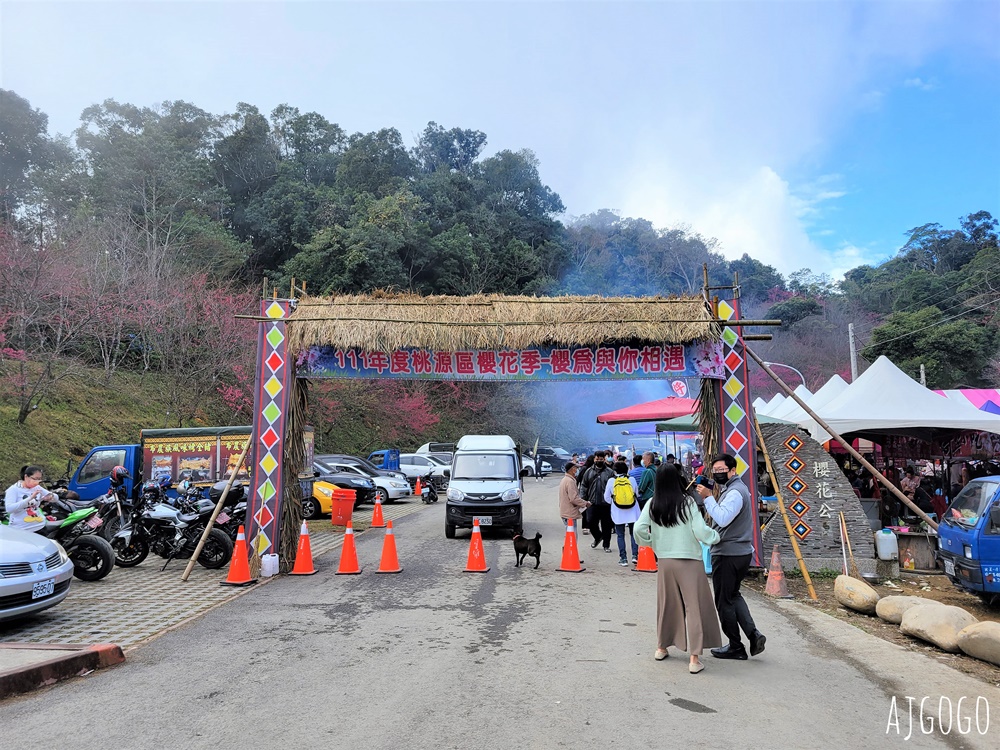 2026高雄景點 高雄櫻花 寶山二集團櫻花公園 交通、停車場、接駁車資訊 5千多棵櫻花樹一路看到2月中
