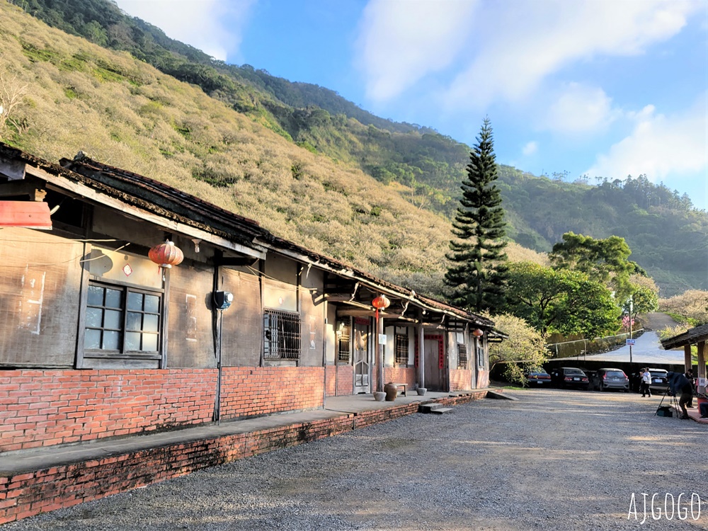 高雄景點 六龜梅花林 賴家古厝休閒露營區 高雄梅花景點推薦