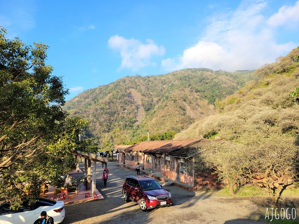 高雄景點 六龜梅花林 賴家古厝休閒露營區 高雄梅花景點推薦