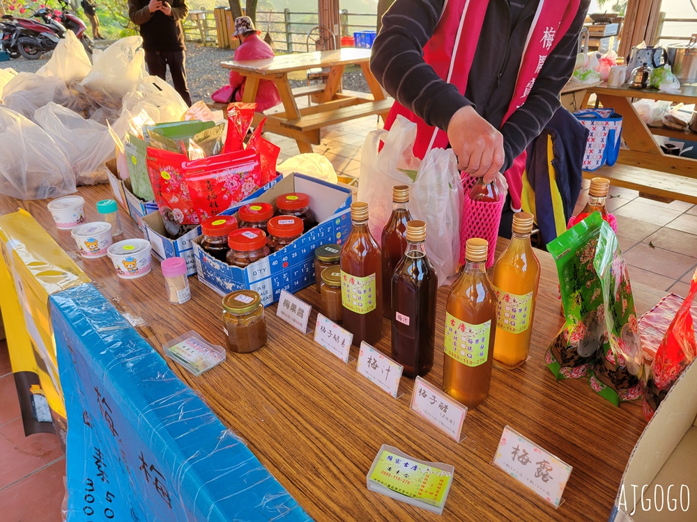 高雄景點 六龜梅花林 賴家古厝休閒露營區 高雄梅花景點推薦