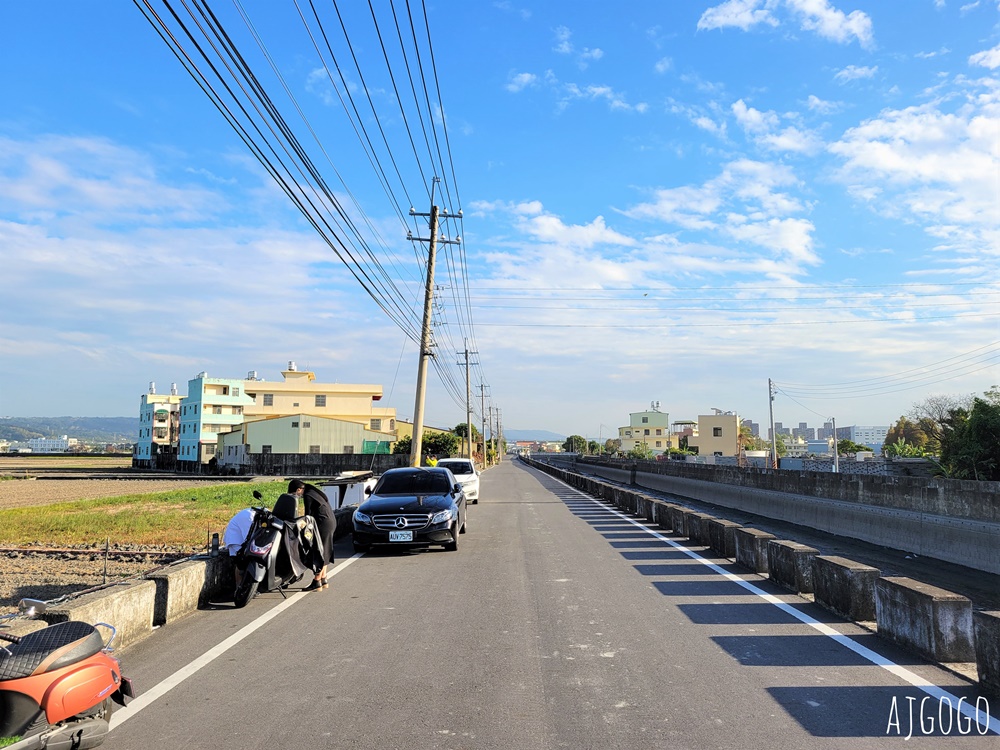 2026彰化景點 大村落羽松 L型巨大落羽松林 每年1月變色