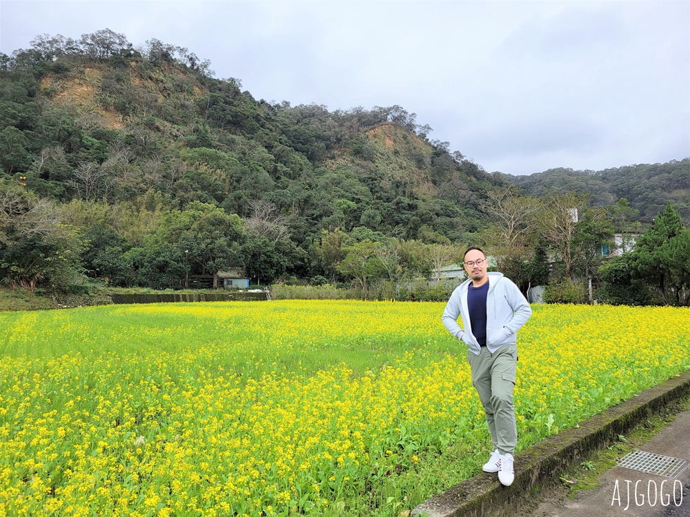 2026新竹景點 新竹櫻花 池畔盛開的寒櫻林 關西上林里私房景點 每年1月中開花