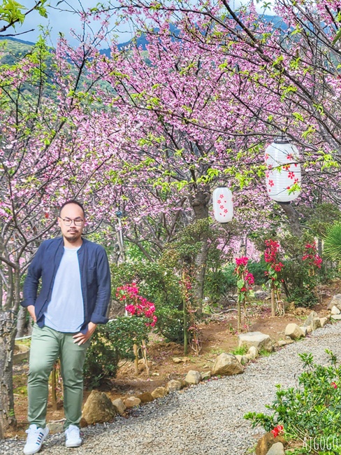 2026台北景點 陽明山櫻花 大埔農場櫻花林 富士櫻、昭和櫻 台北一日遊 2026台北景點 陽明山櫻花 大埔農場櫻花林 富士櫻、昭和櫻 台北一日遊
