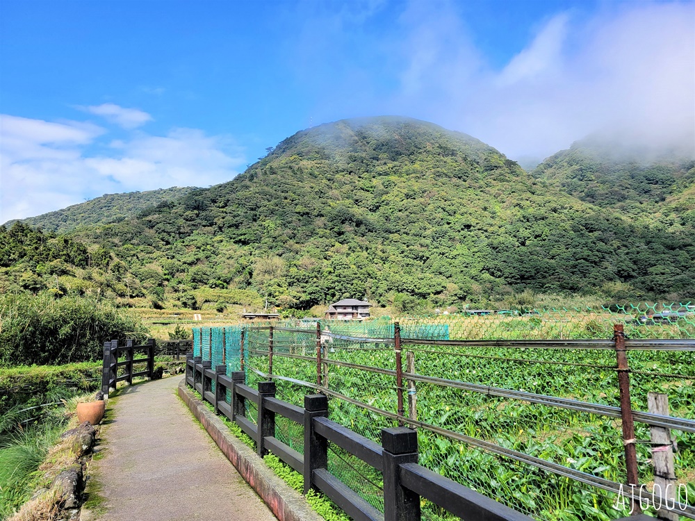 台北美食 冠宸食館 陽明山竹子湖超人氣餐廳 白斬雞、炒青菜好吃 陽明山餐廳