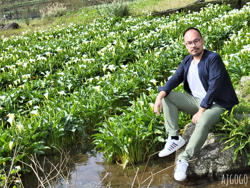 台北美食 冠宸食館 陽明山竹子湖超人氣餐廳 白斬雞、炒青菜好吃 陽明山餐廳