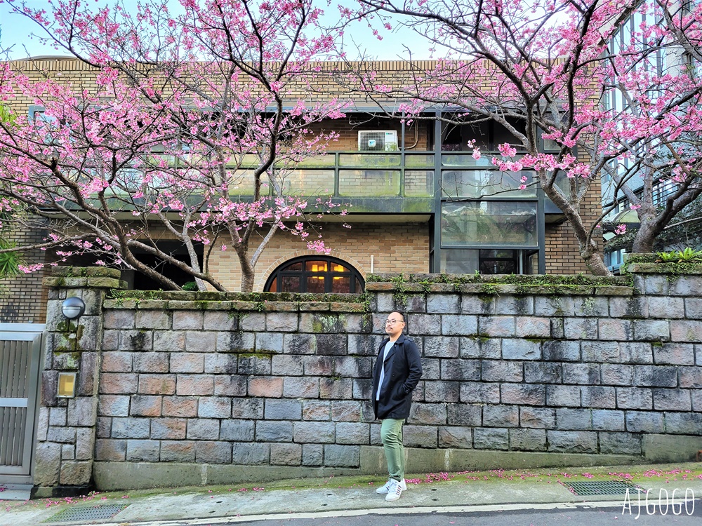 台北景點 台北花卉實驗中心 陽明山免費祕密花園 茶花、鬱金香、櫻花 台北一日遊推薦