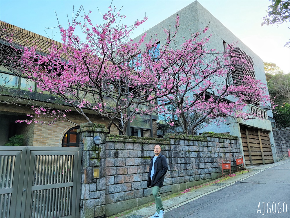 台北景點 台北花卉實驗中心 陽明山免費祕密花園 茶花、鬱金香、櫻花 台北一日遊推薦
