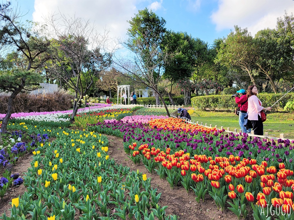 台北景點 台北花卉實驗中心 陽明山免費祕密花園 茶花、鬱金香、櫻花 台北一日遊推薦