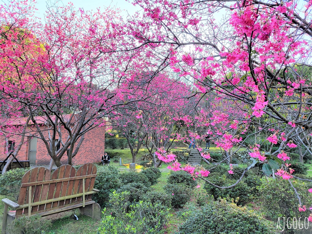 台北景點 台北花卉實驗中心 陽明山免費祕密花園 茶花、鬱金香、櫻花 台北一日遊推薦