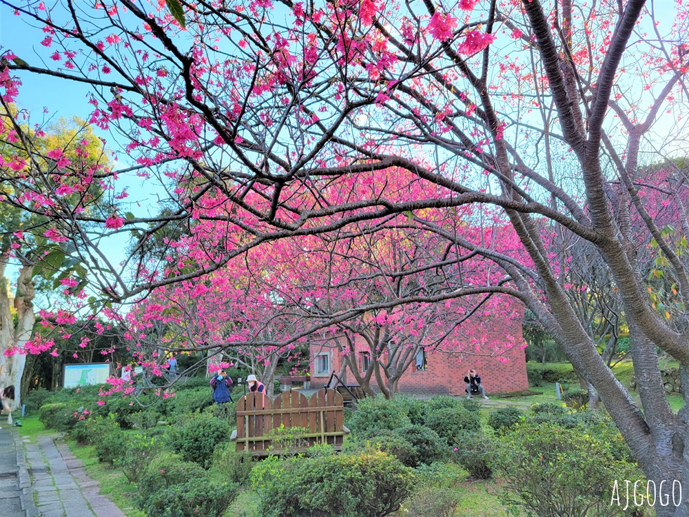 台北景點 台北花卉實驗中心 陽明山免費祕密花園 茶花、鬱金香、櫻花 台北一日遊推薦