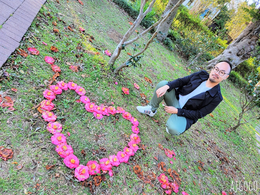 台北景點 台北花卉實驗中心 陽明山免費祕密花園 茶花、鬱金香、櫻花 台北一日遊推薦
