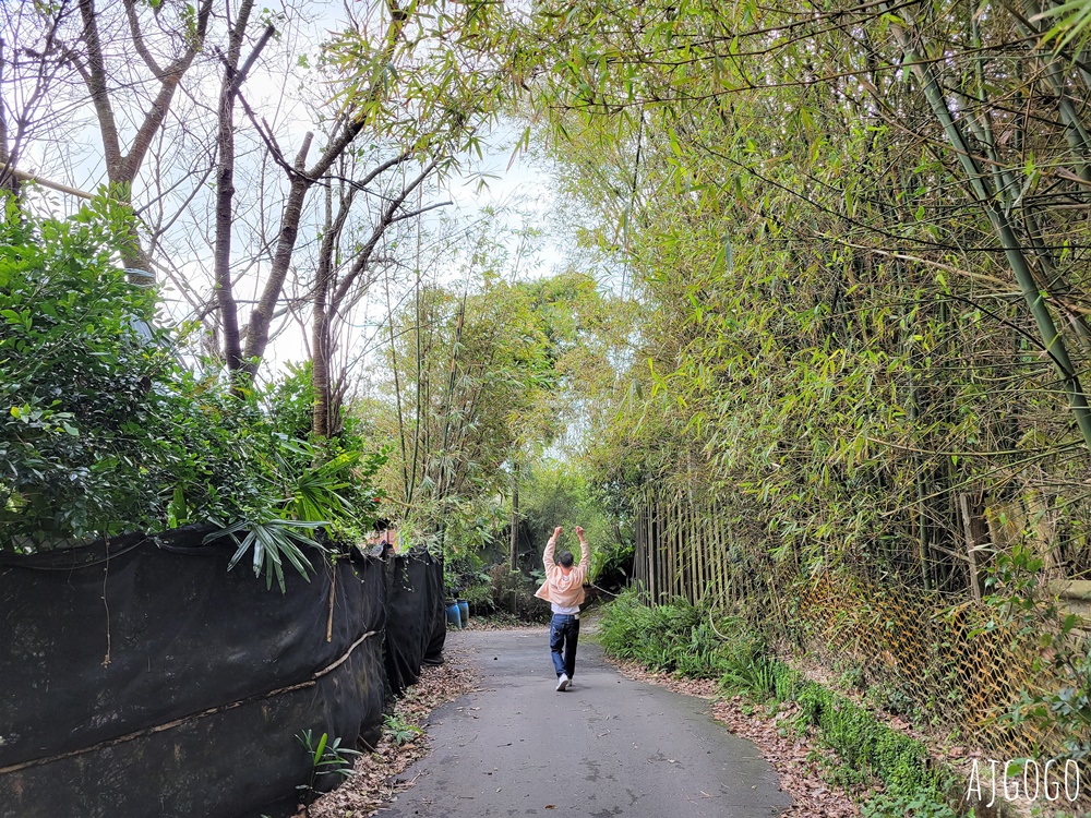 陽明山美食 山上聊 陽明山景觀咖啡館 台北美食推薦