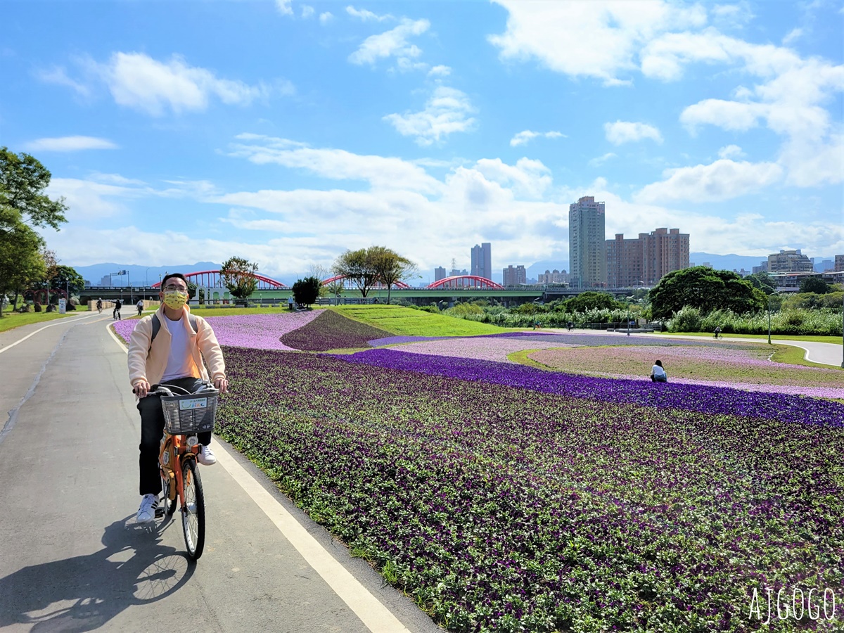 古亭河濱公園紫色花海 永福橋旁的台北免費景點 千坪河濱花毯地景 @AJ的旅行地圖