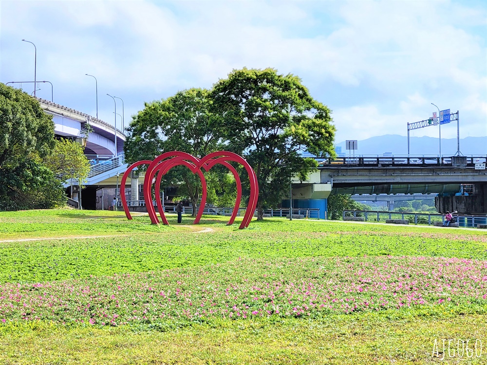 古亭河濱公園紫色花海 永福橋旁的台北免費景點 千坪河濱花毯地景