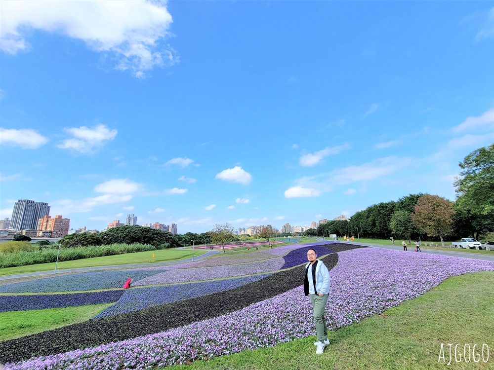 古亭河濱公園紫色花海 永福橋旁的台北免費景點 千坪河濱花毯地景