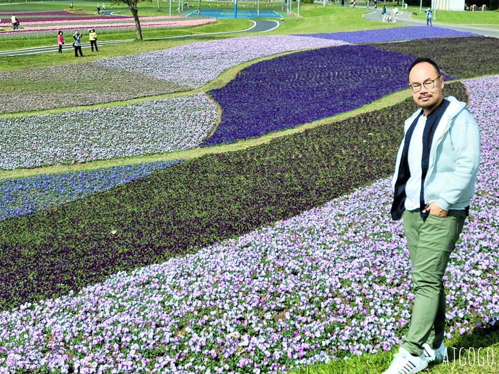 古亭河濱公園紫色花海 永福橋旁的台北免費景點 千坪河濱花毯地景