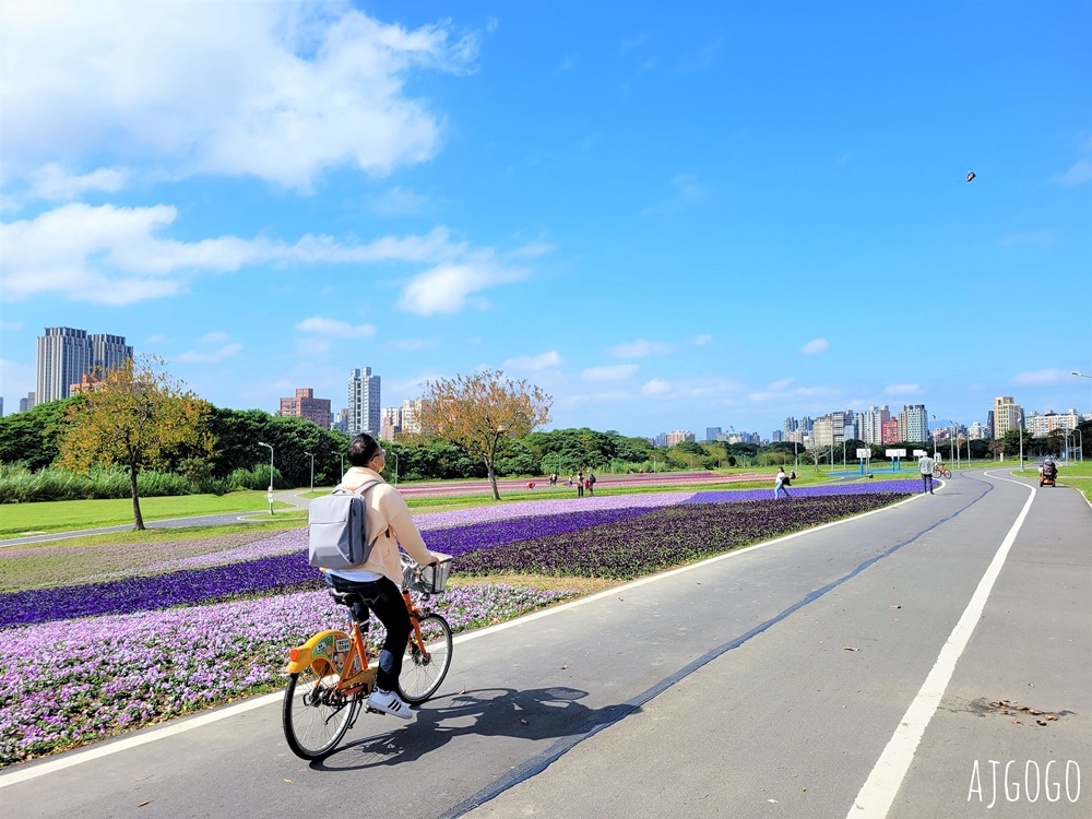 古亭河濱公園紫色花海 永福橋旁的台北免費景點 千坪河濱花毯地景