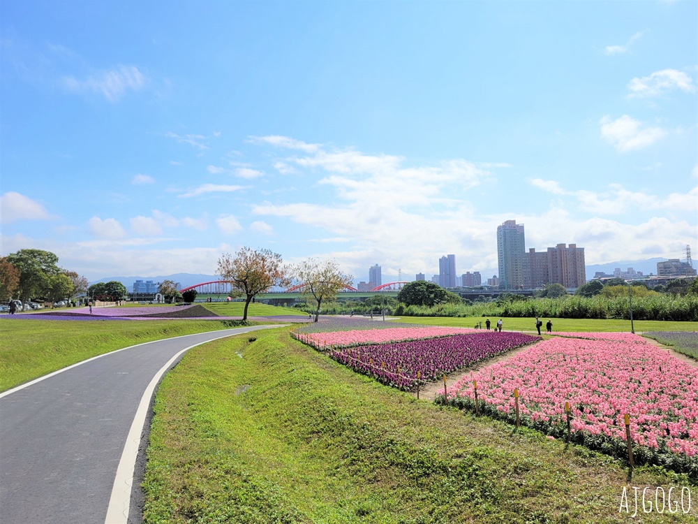 古亭河濱公園紫色花海 永福橋旁的台北免費景點 千坪河濱花毯地景