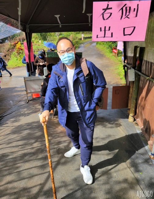 2026三峽大熊櫻花林 三色寒櫻、八重櫻、香水櫻、福爾摩沙櫻、吉野櫻陸續盛開 可看到4月初