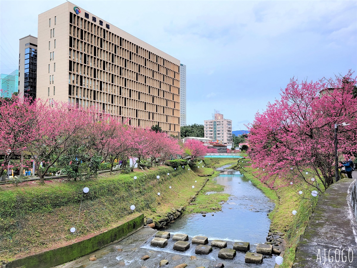2026台北景點 汐止文化櫻花季 康誥坑溪 水岸櫻花小徑 台北一日遊 @AJ的旅行地圖