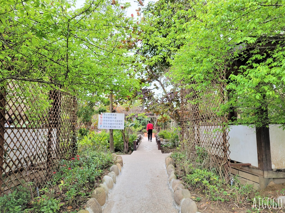 苗栗景點 石湯溫泉 苗栗大湖露天花園溫泉池 苗栗一日遊