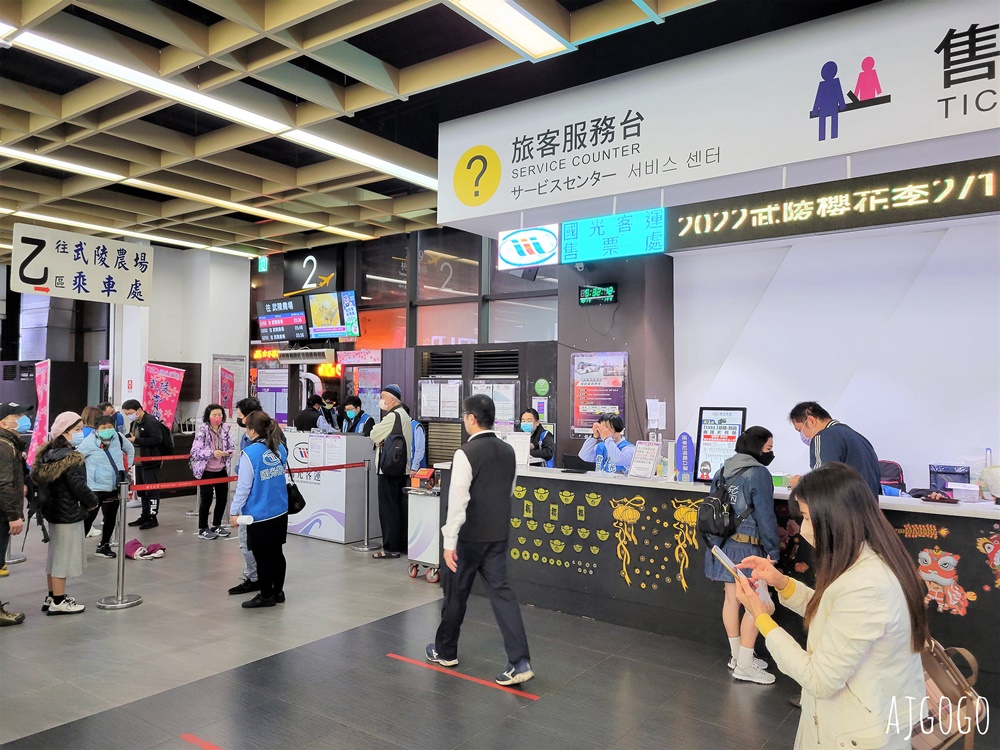 2026武陵農場櫻花季 每年2月展開 台灣最強櫻花天花板、櫻花隧道