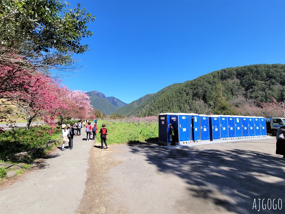 2026武陵農場櫻花季 每年2月展開 台灣最強櫻花天花板、櫻花隧道 2026武陵農場櫻花季 每年2月展開 台灣最強櫻花天花板、櫻花隧道