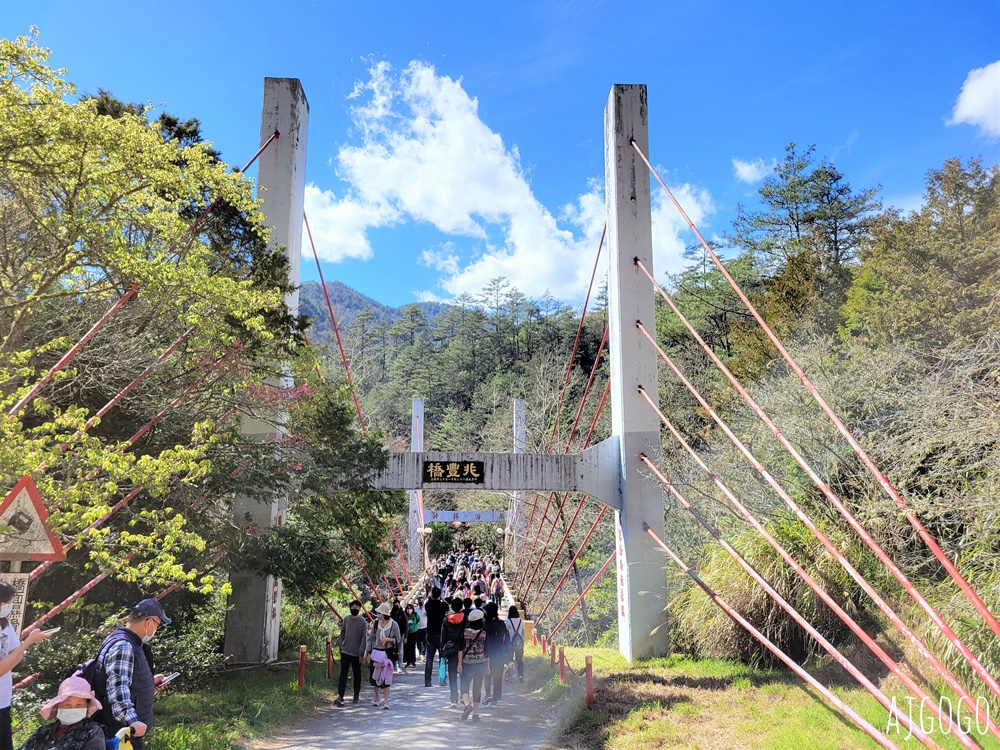2026武陵農場櫻花季 每年2月展開 台灣最強櫻花天花板、櫻花隧道 2026武陵農場櫻花季 每年2月展開 台灣最強櫻花天花板、櫻花隧道