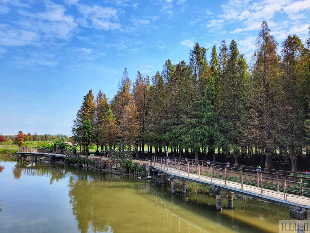 台南景點 台南六甲落羽松 台1線公路景點 可順遊鮮奶農場