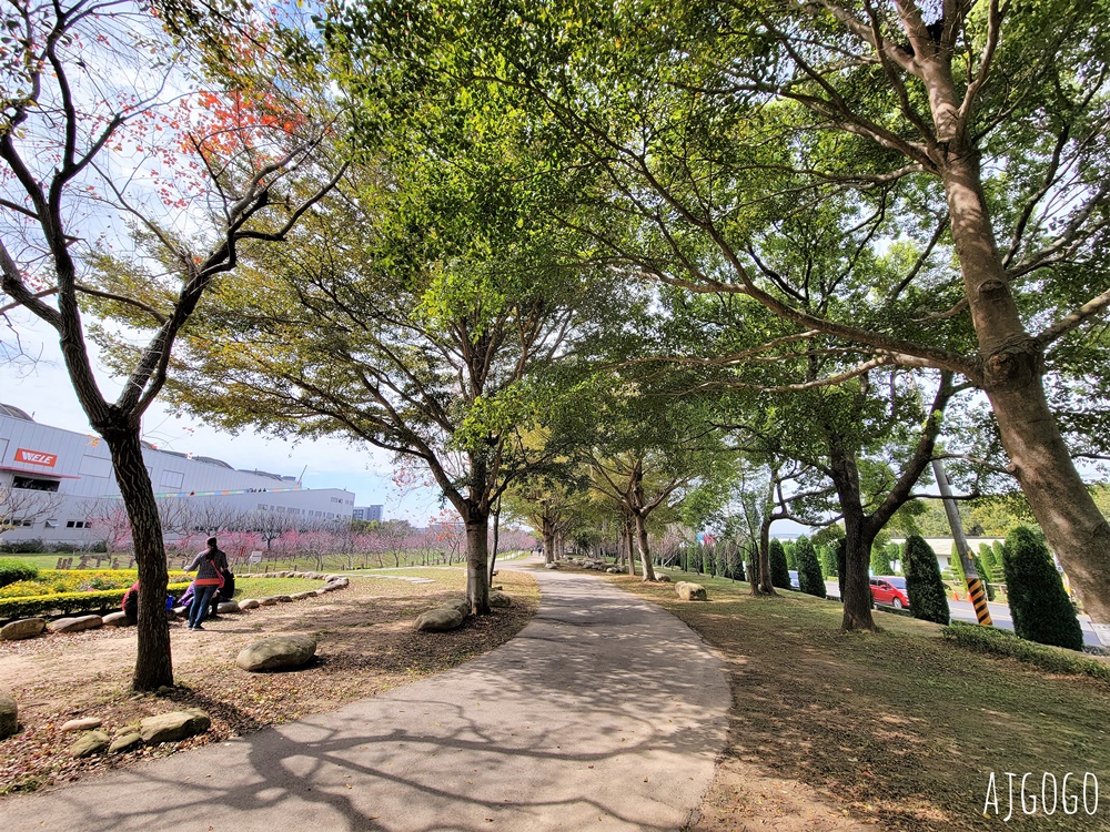 2026台中景點 台中櫻花 中科崴立櫻花公園 河津櫻、吉野櫻、八重櫻、富士櫻 每年2月起陸續開花