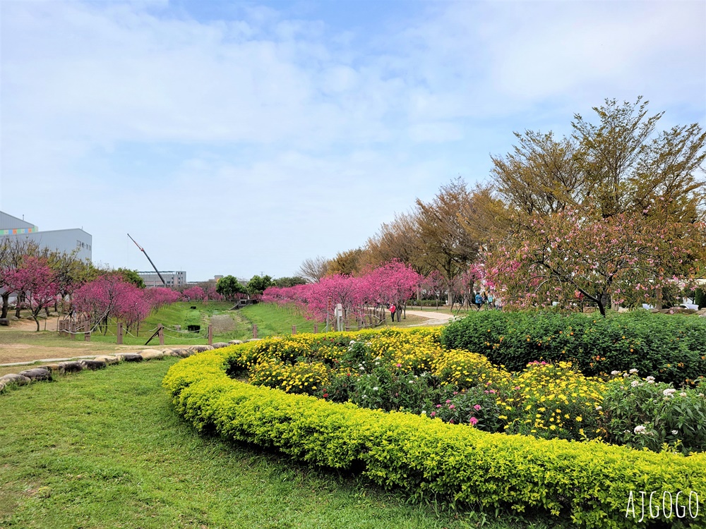2026台中景點 台中櫻花 中科崴立櫻花公園 河津櫻、吉野櫻、八重櫻、富士櫻 每年2月起陸續開花 2026台中景點 台中櫻花 中科崴立櫻花公園 河津櫻、吉野櫻、八重櫻、富士櫻 每年2月起陸續開花