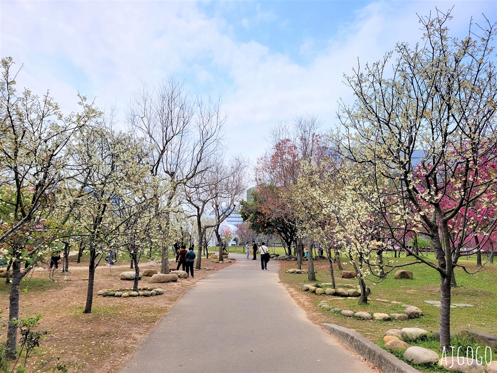 2026台中景點 台中櫻花 中科崴立櫻花公園 河津櫻、吉野櫻、八重櫻、富士櫻 每年2月起陸續開花