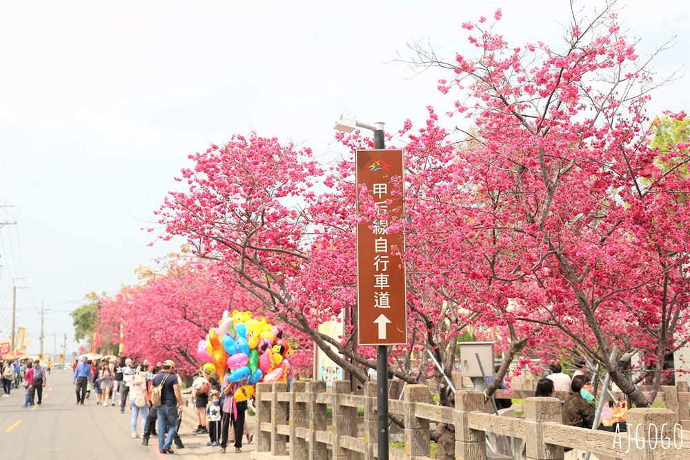 2026台中景點 泰安派出所櫻花林、泰安鐵道文化園區半日遊 每年2月底盛開