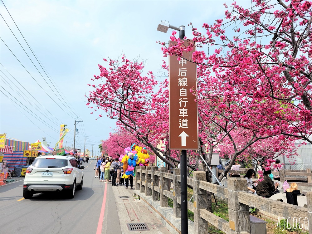 2026台中景點 泰安派出所櫻花林、泰安鐵道文化園區半日遊 每年2月底盛開