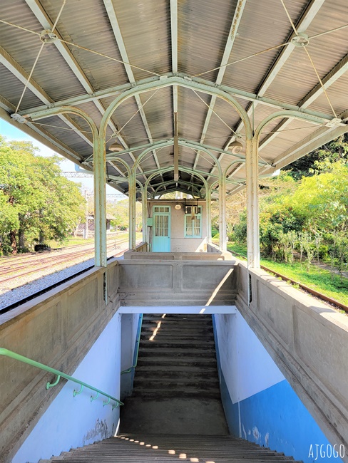 2026台中景點 泰安派出所櫻花林、泰安鐵道文化園區半日遊 每年2月底盛開