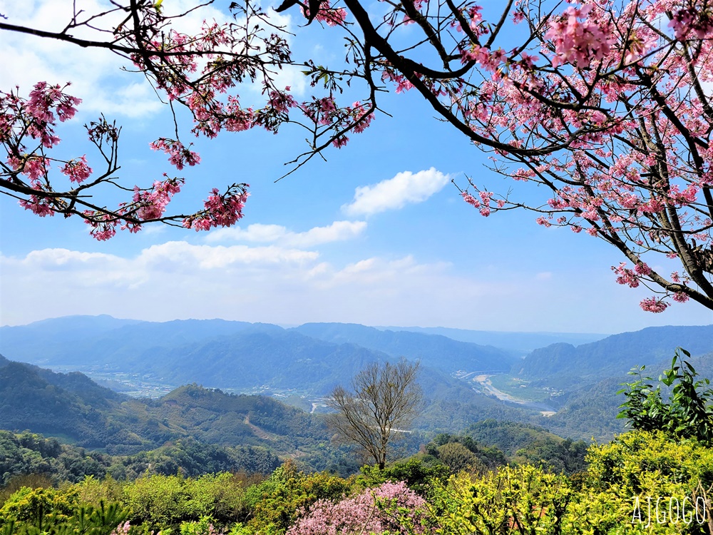 2026苗栗景點 蓮臺山妙音淨苑 清幽的賞櫻勝地 八重櫻、昭和櫻 每年2~3月盛開 2026苗栗景點 蓮臺山妙音淨苑 清幽的賞櫻勝地 八重櫻、昭和櫻 每年2~3月盛開